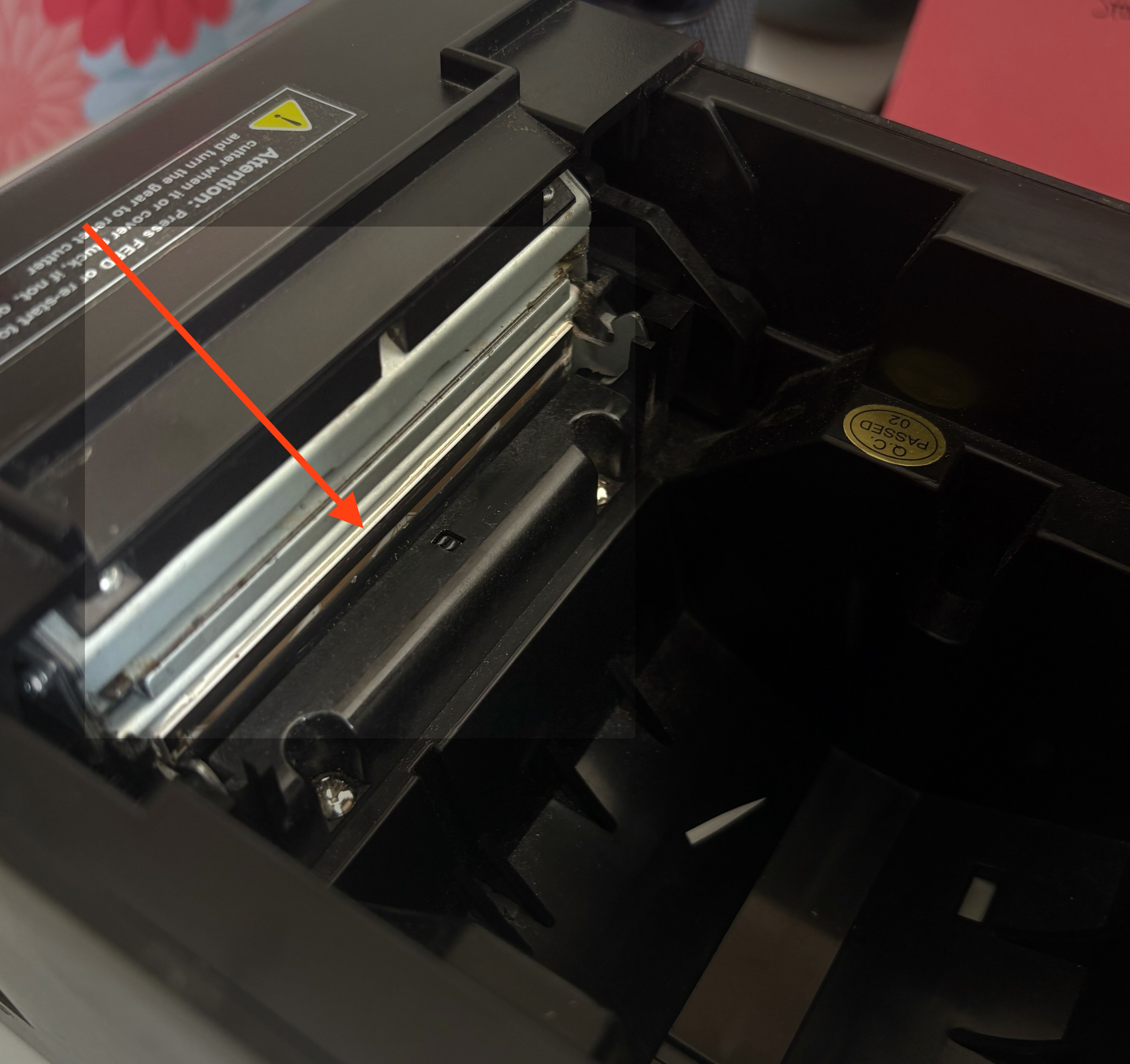 IMG_6808 (kopie).jpeg