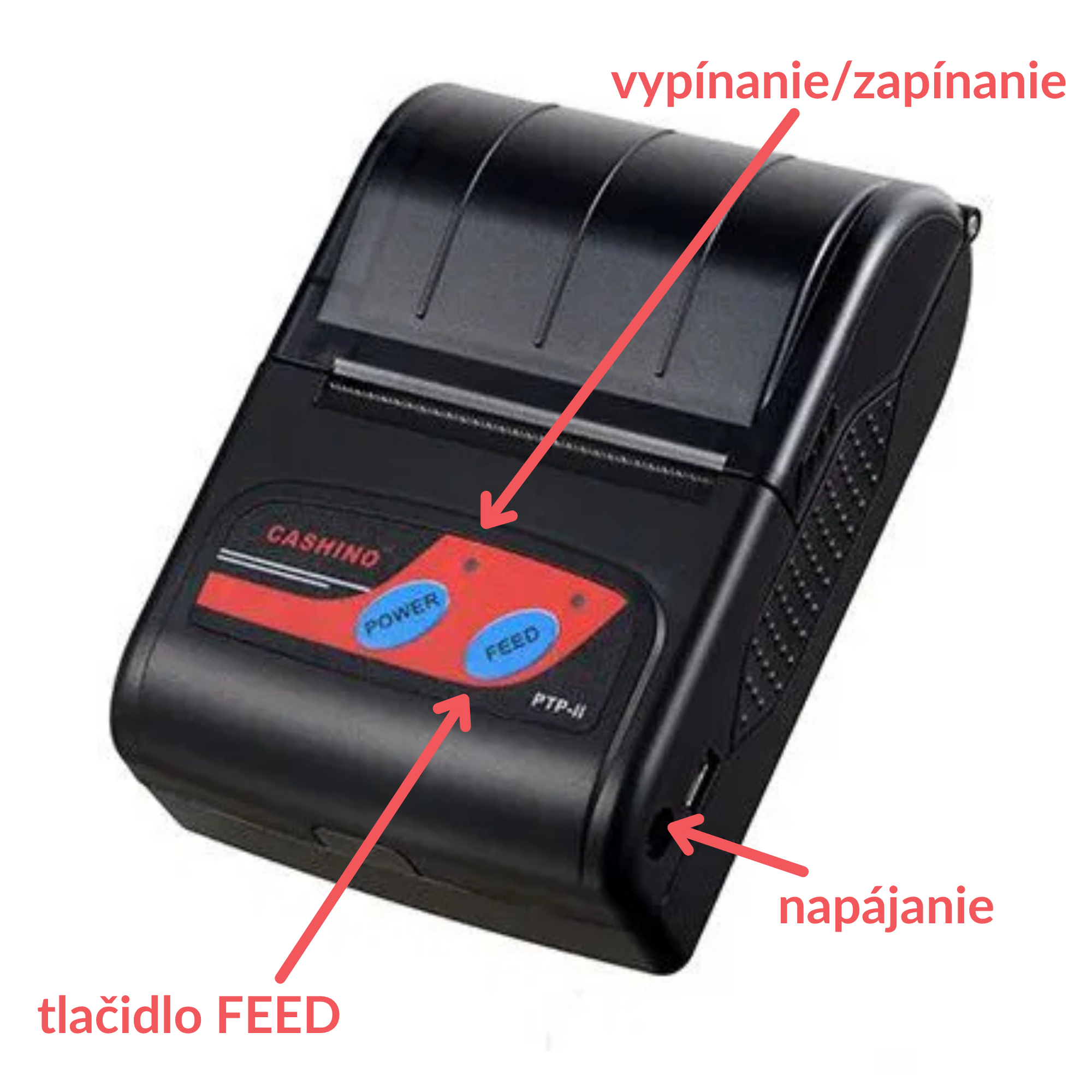 SK cashino.png